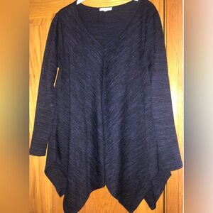 Ava James V-neck Sweater Blue Size L